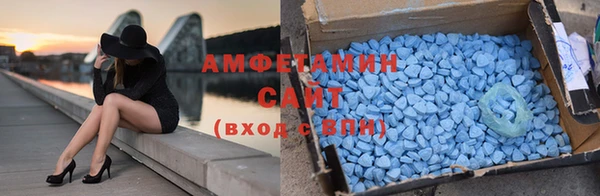 стаф Новодвинск