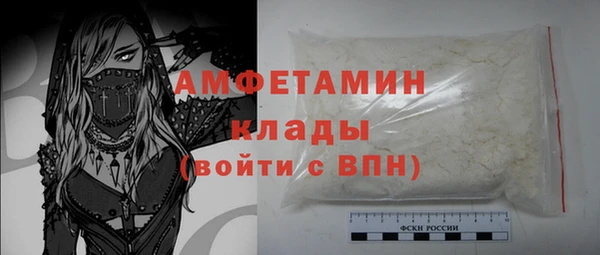стаф Новодвинск