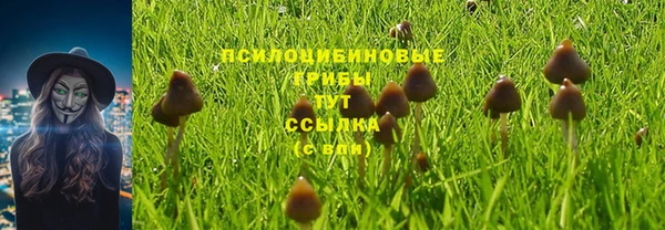 бутират Нея