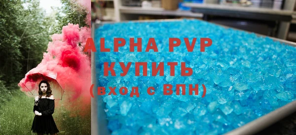 стаф Новодвинск