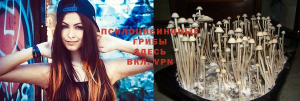 ALPHA-PVP Новокубанск