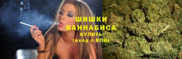 стаф Новодвинск