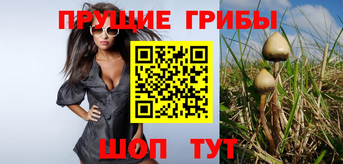 Отрадное  где продают наркотики  Вход с VPN  Галлюциногенные грибы Psilocybe 