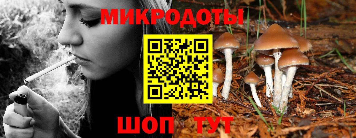 Псилоцибиновые грибы Magic Shrooms Отрадное